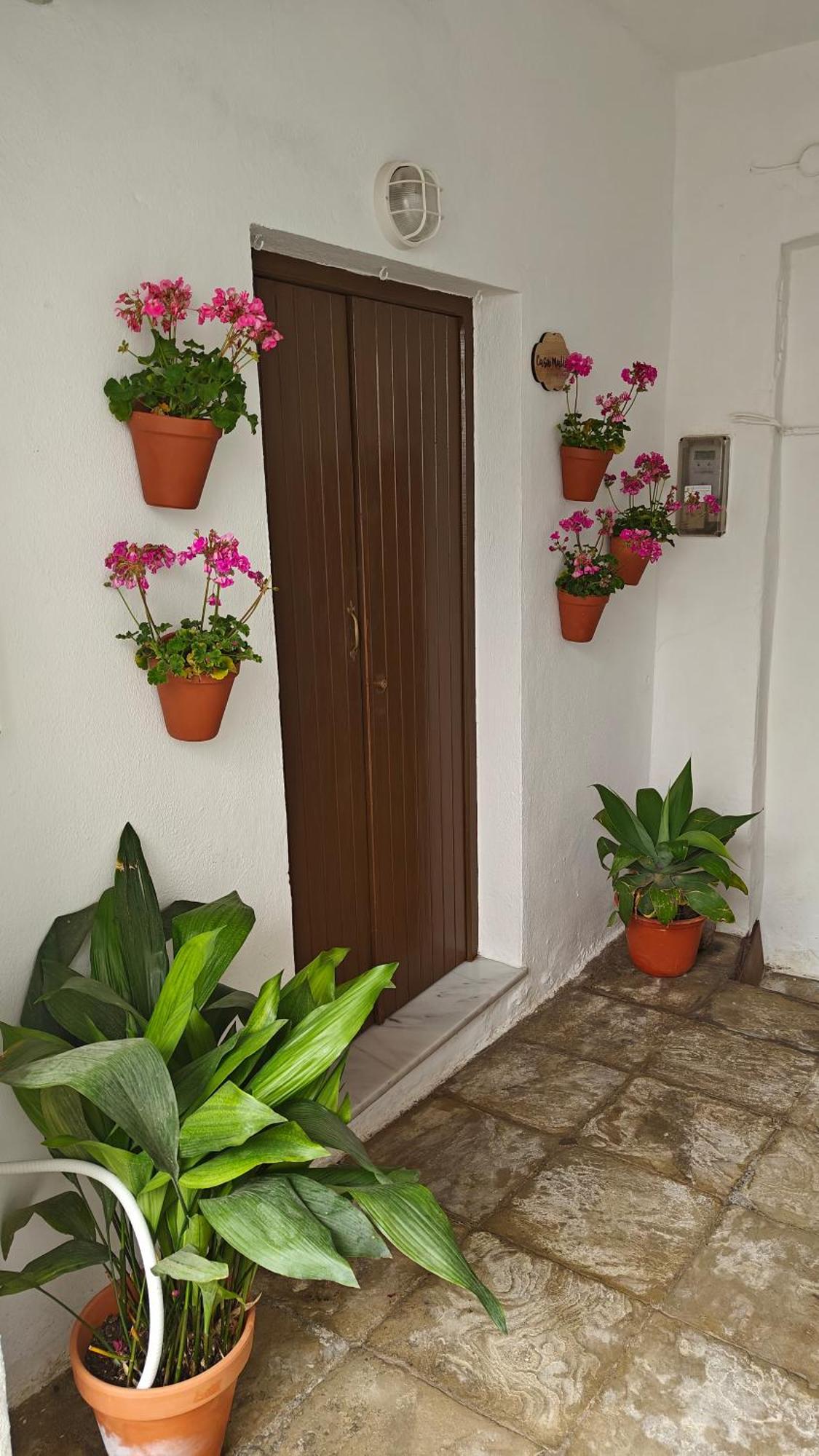 Casa Malia Apartamento Recien Reformado En Centro Вехер-де-ла-Фронтера Екстер'єр фото